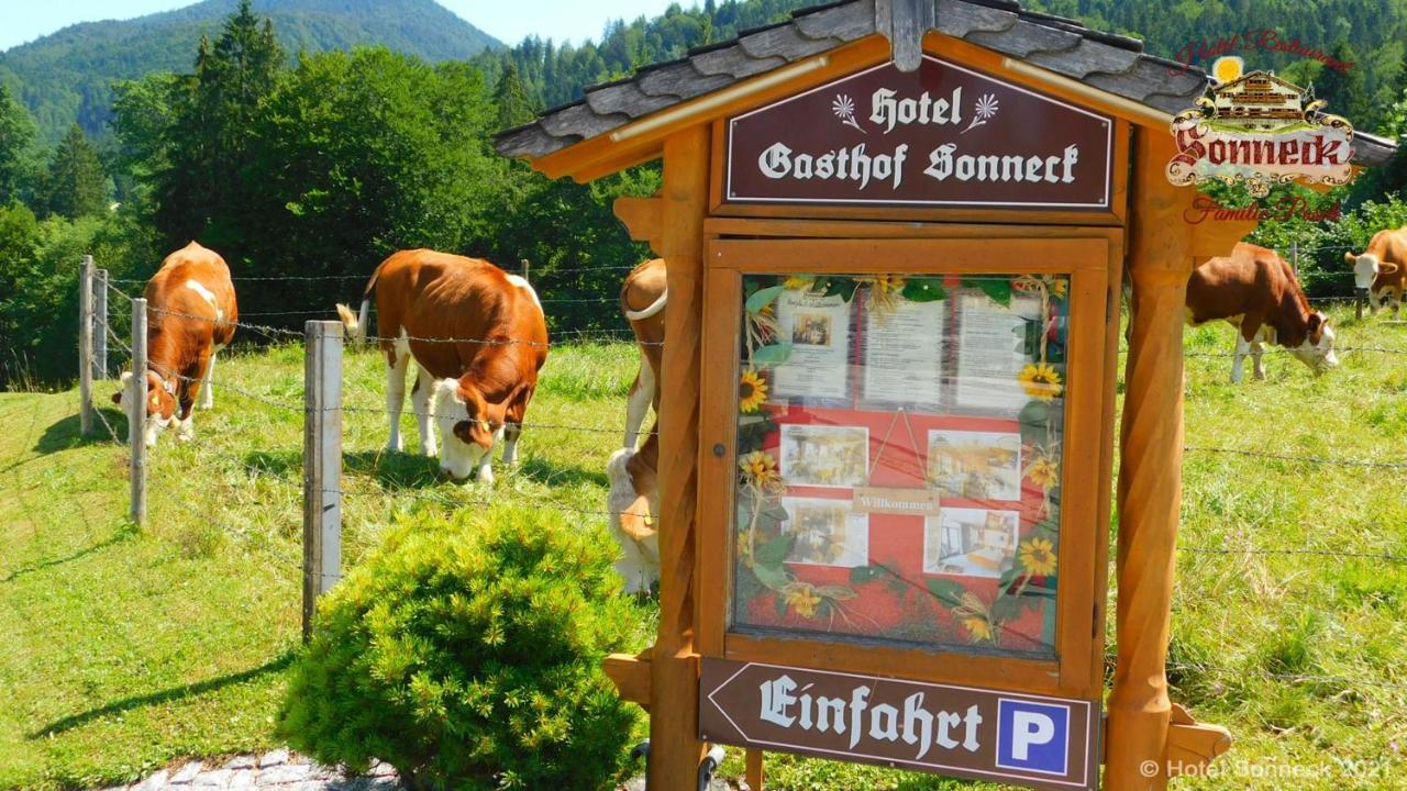 Hotel-Gasthof-Sonneck Райт им Винкл Екстериор снимка